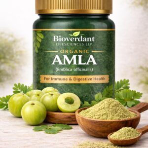 Organic Amla Powder
